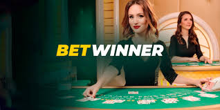 All You Need to Know About Betwinner All You Need to Know About Betwinner